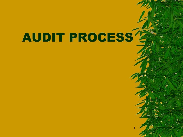 AUDIT PROCESS 1 