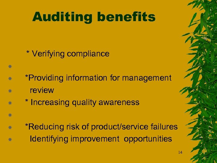 Auditing benefits * Verifying compliance *Providing information for management review * Increasing quality awareness