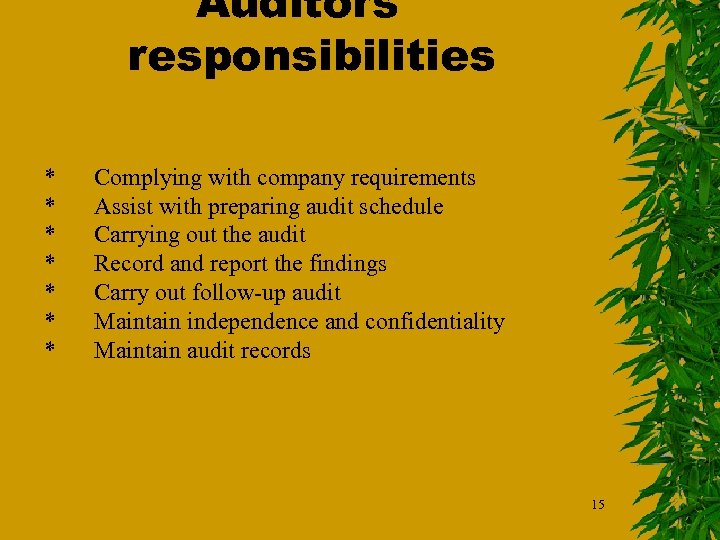 Auditors responsibilities * * * * Complying with company requirements Assist with preparing audit