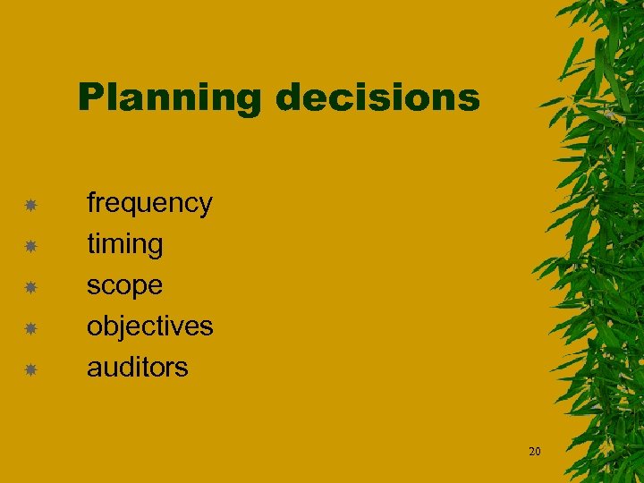 Planning decisions frequency timing scope objectives auditors 20 