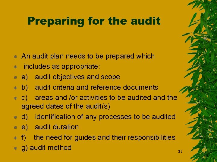 Preparing for the audit An audit plan needs to be prepared which includes as
