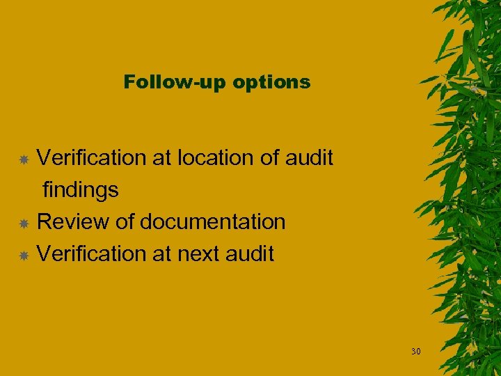 Follow-up options Verification at location of audit findings Review of documentation Verification at next