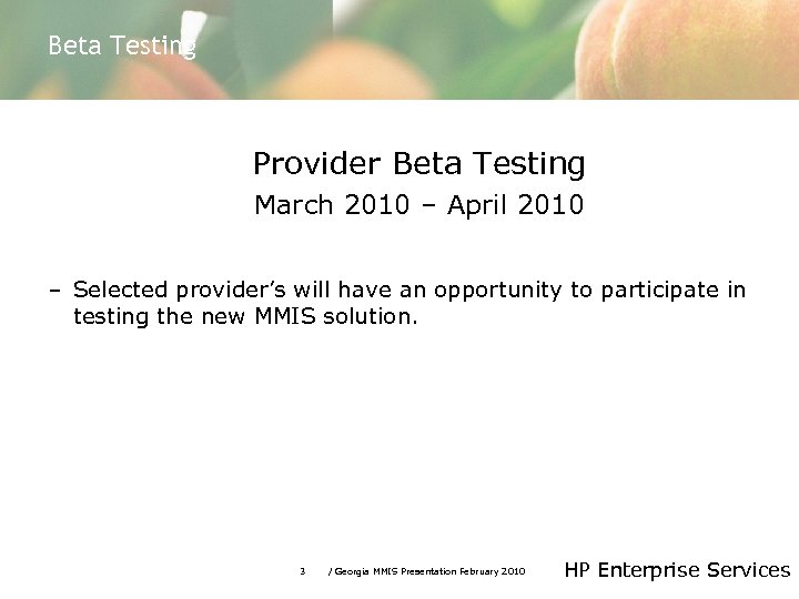 Beta Testing Provider Beta Testing March 2010 – April 2010 – Selected provider’s will