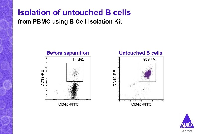 Isolation of untouched B cells from PBMC using B Cell Isolation Kit Before separation