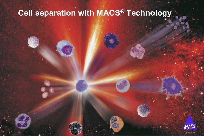 Cell separation with MACS® Technology MD 0347. 01 