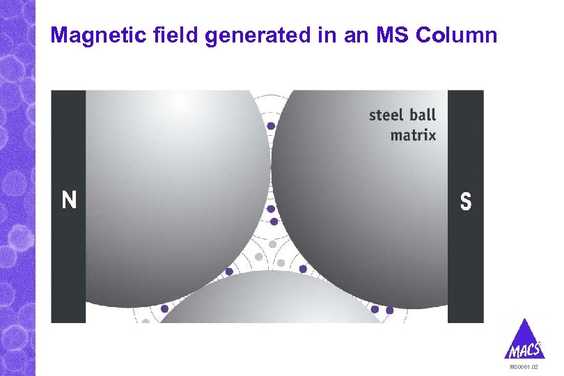 Magnetic field generated in an MS Column MD 0061. 02 