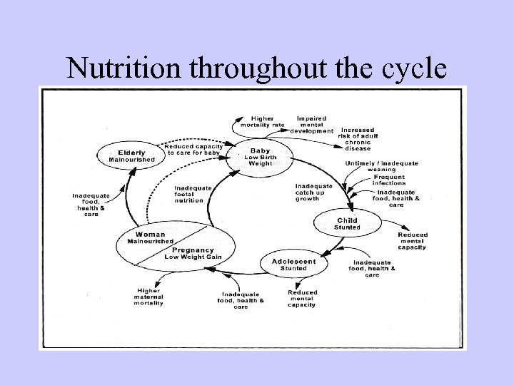 Nutrition throughout the cycle 