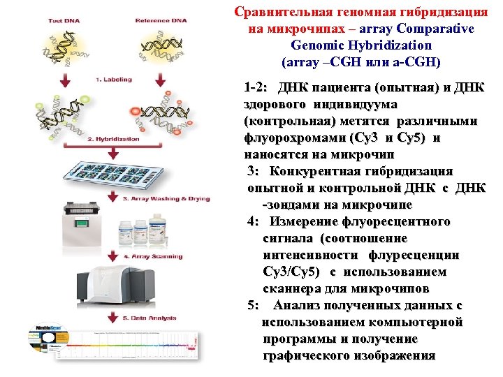 Cравнительная геномная гибридизация на микрочипах – array Comparative Genomic Hybridization (array –CGH или a-CGH)