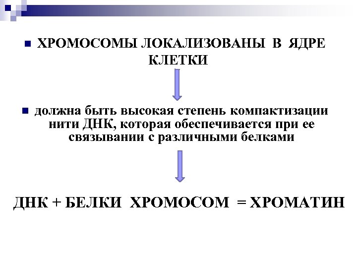 n ХРОМОСОМЫ ЛОКАЛИЗОВАНЫ В ЯДРЕ КЛЕТКИ n должна быть высокая степень компактизации нити ДНК,