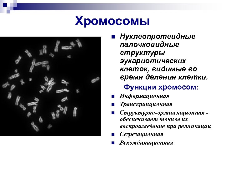 Хромосомные клетки