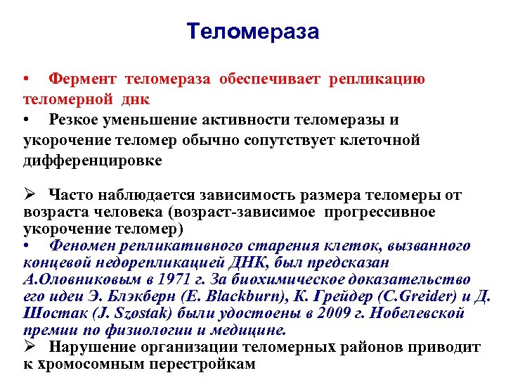 Теломераза • Фермент теломераза обеспечивает репликацию теломерной днк • Резкое уменьшение активности теломеразы и