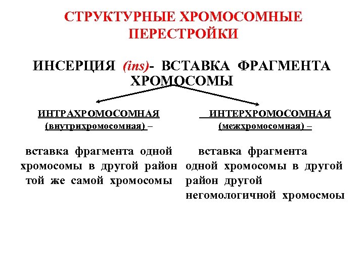 СТРУКТУРНЫЕ ХРОМОСОМНЫЕ ПЕРЕСТРОЙКИ ИНСЕРЦИЯ (ins)- ВСТАВКА ФРАГМЕНТА ХРОМОСОМЫ ИНТРАХРОМОСОМНАЯ (внутрихромосомная) – ИНТЕРХРОМОСОМНАЯ (межхромосомная) –