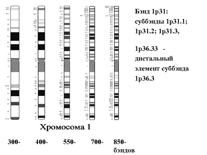 Бэнд 1 р31: суббэнды 1 р31. 1; 1 р31. 2; 1 р31. 3, 1