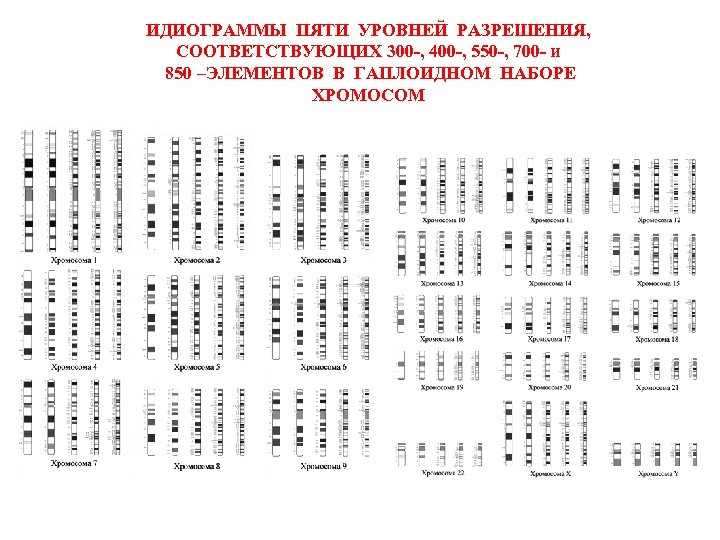 ИДИОГРАММЫ ПЯТИ УРОВНЕЙ РАЗРЕШЕНИЯ, СООТВЕТСТВУЮЩИХ 300 -, 400 -, 550 -, 700 - и