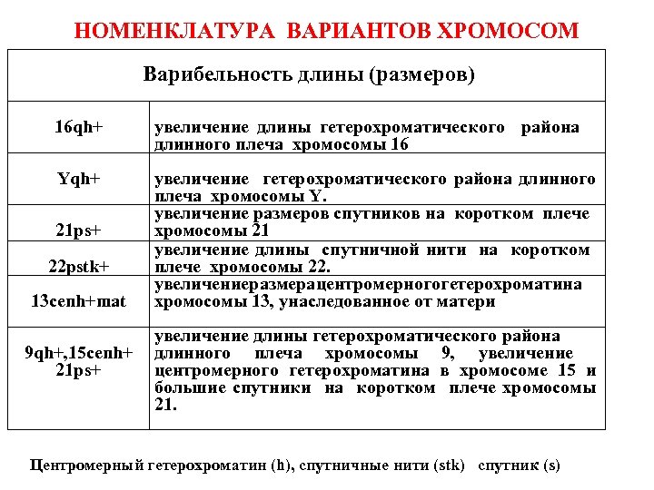 НОМЕНКЛАТУРА ВАРИАНТОВ ХРОМОСОМ Варибельность длины (размеров) 16 qh+ увеличение длины гетерохроматического района длинного плеча