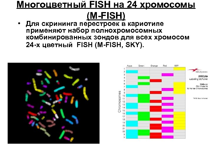 Многоцветный FISH на 24 хромосомы (М-FISH) • Для скрининга перестроек в кариотипе применяют набор