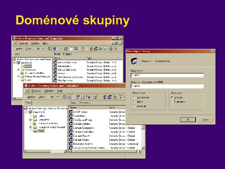 Doménové skupiny 