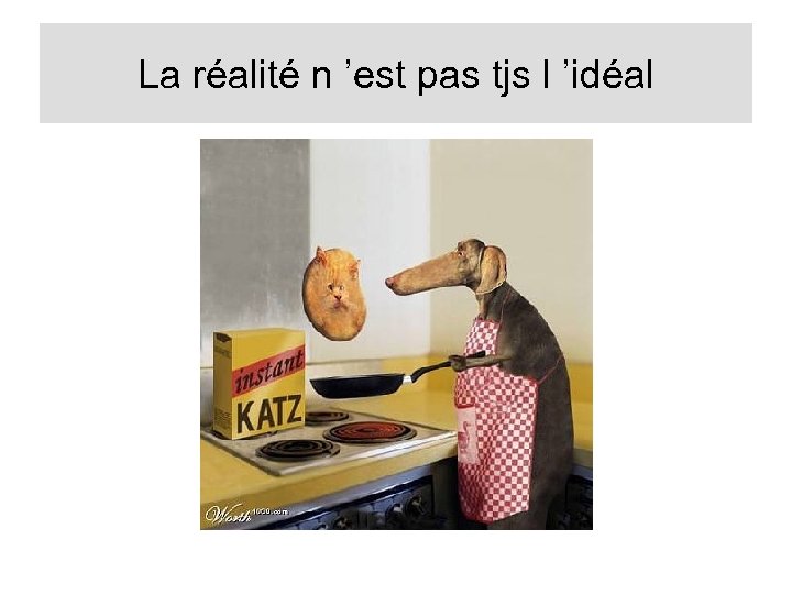 La réalité n ’est pas tjs l ’idéal 