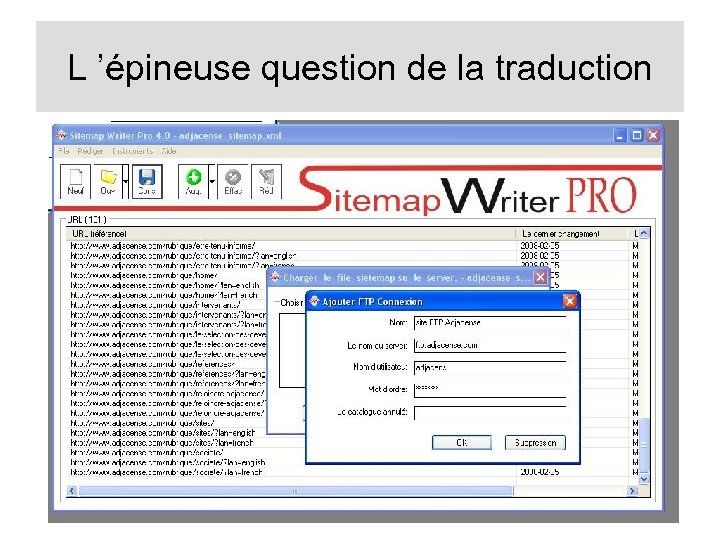 L ’épineuse question de la traduction 