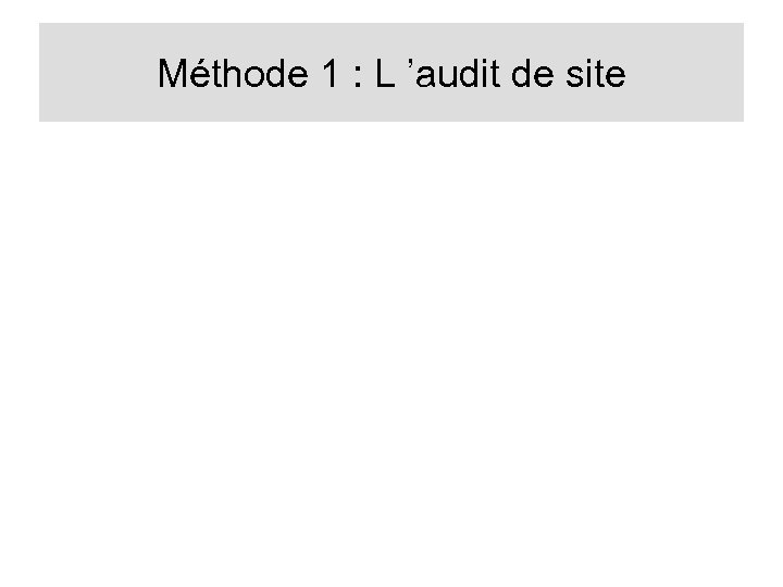 Méthode 1 : L ’audit de site 