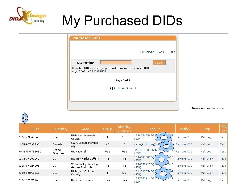 My Purchased DIDs Flowers to protect the innocent 