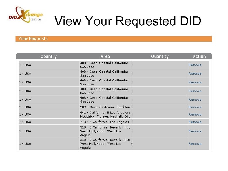 View Your Requested DID 
