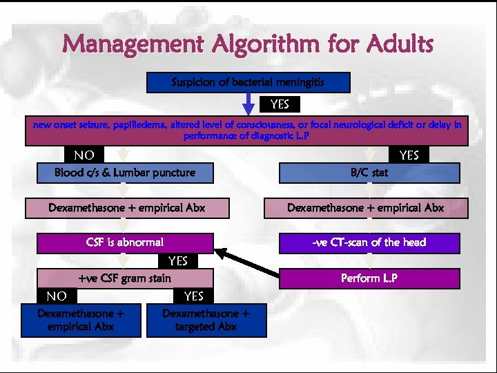 Management Algorithm for Adults Suspicion of bacterial meningitis YES new onset seizure, papilledema, altered