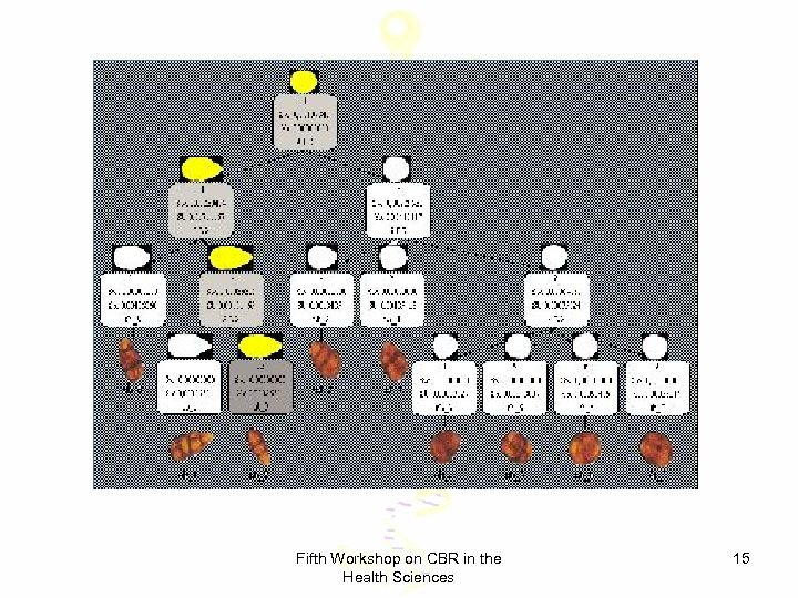Fifth Workshop on CBR in the Health Sciences 15 