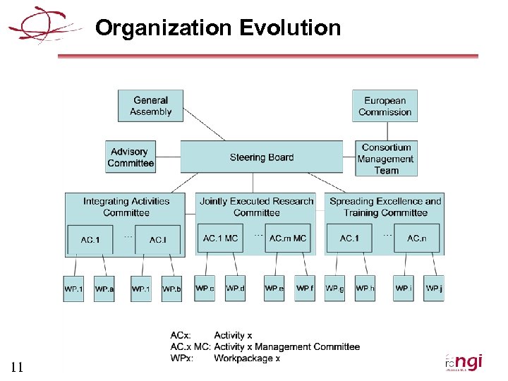 Organization Evolution 11 