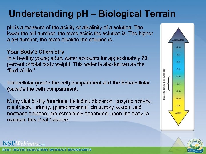 Understanding p. H – Biological Terrain p. H is a measure of the acidity