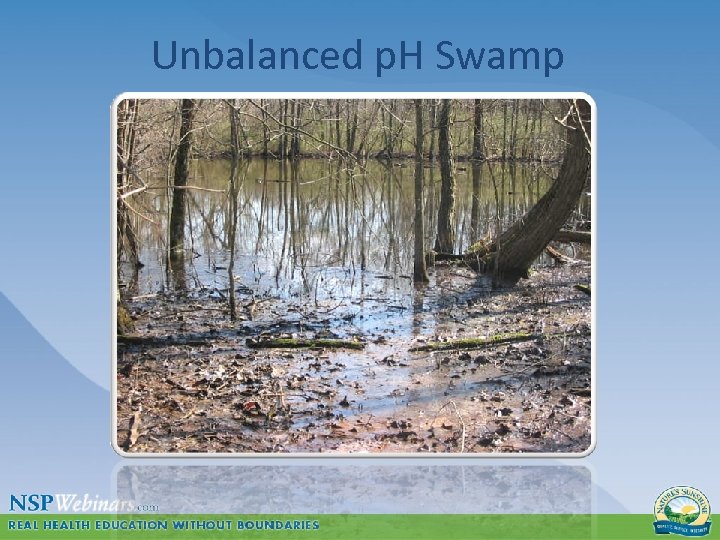  Unbalanced p. H Swamp 