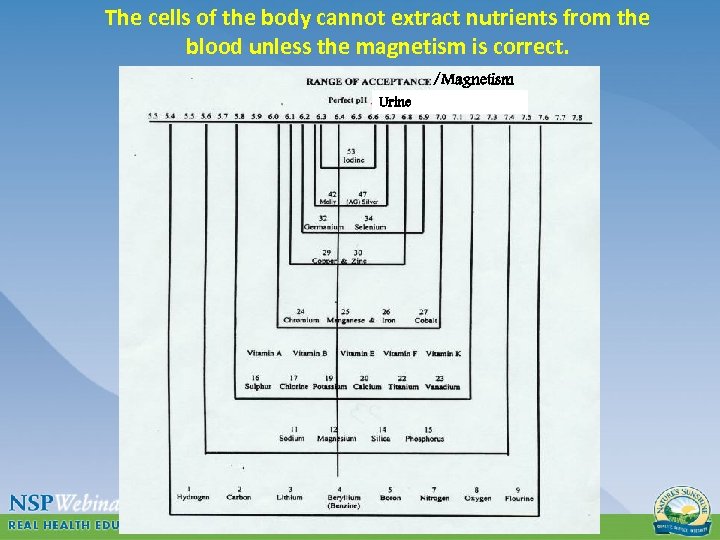 The cells of the body cannot extract nutrients from the blood unless the magnetism