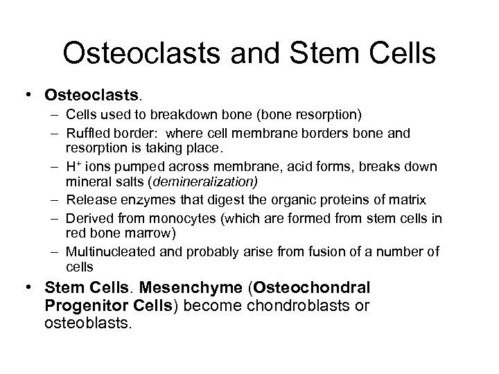 Osteoclasts and Stem Cells • Osteoclasts. – Cells used to breakdown bone (bone resorption)