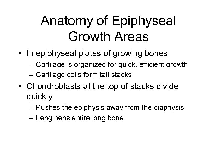 Anatomy of Epiphyseal Growth Areas • In epiphyseal plates of growing bones – Cartilage