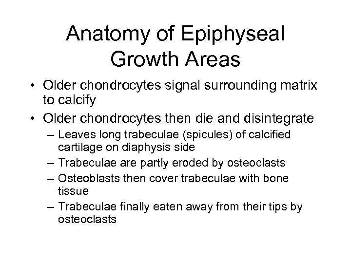 Anatomy of Epiphyseal Growth Areas • Older chondrocytes signal surrounding matrix to calcify •