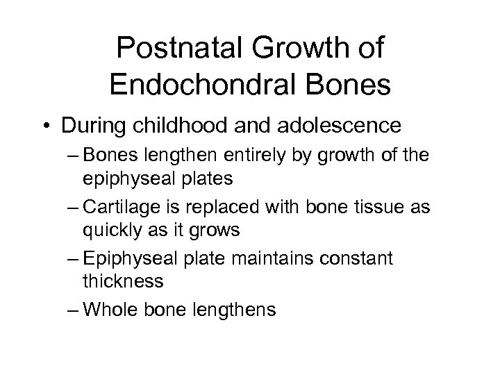 Postnatal Growth of Endochondral Bones • During childhood and adolescence – Bones lengthen entirely