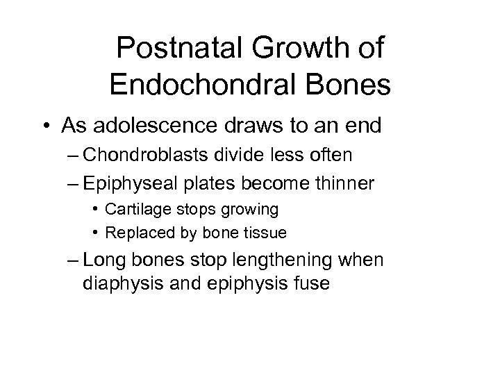 Postnatal Growth of Endochondral Bones • As adolescence draws to an end – Chondroblasts