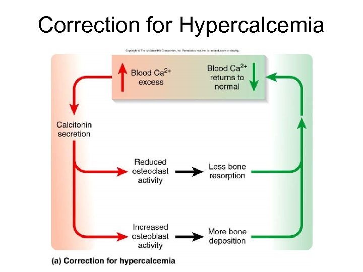 Correction for Hypercalcemia 
