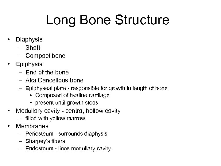 Long Bone Structure • Diaphysis – Shaft – Compact bone • Epiphysis – End