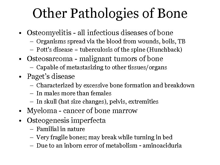 Other Pathologies of Bone • Osteomyelitis - all infectious diseases of bone – Organisms