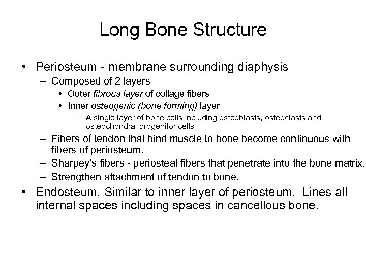 Long Bone Structure • Periosteum - membrane surrounding diaphysis – Composed of 2 layers