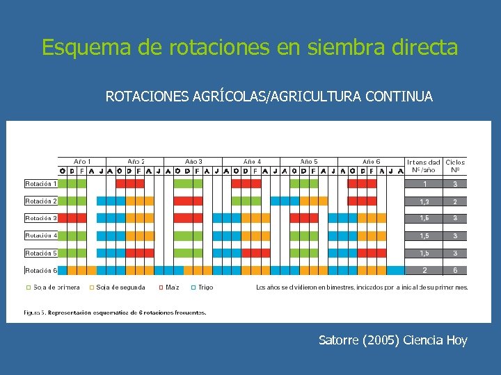 Esquema de rotaciones en siembra directa ROTACIONES AGRÍCOLAS/AGRICULTURA CONTINUA Satorre (2005) Ciencia Hoy 