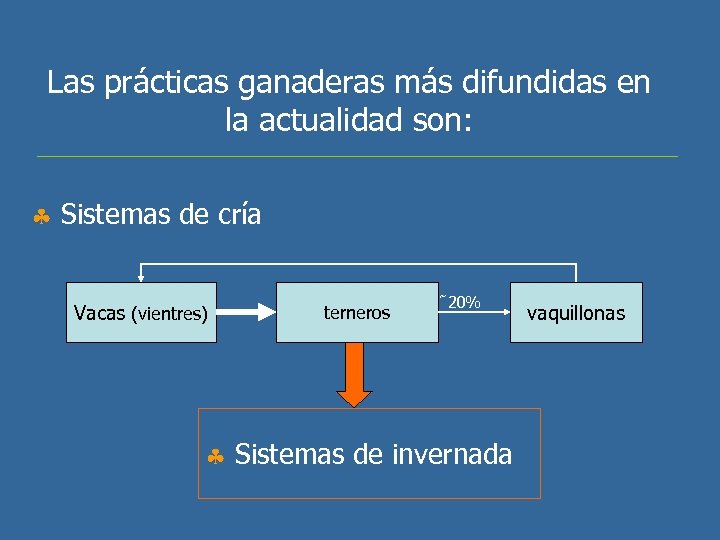 Las prácticas ganaderas más difundidas en la actualidad son: Sistemas de cría Vacas (vientres)