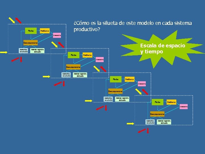 ¿Cómo es la silueta de este modelo en cada sistema productivo? Escala de espacio