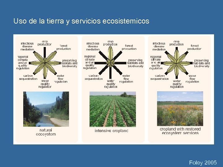 Uso de la tierra y servicios ecosistemicos Foley 2005 