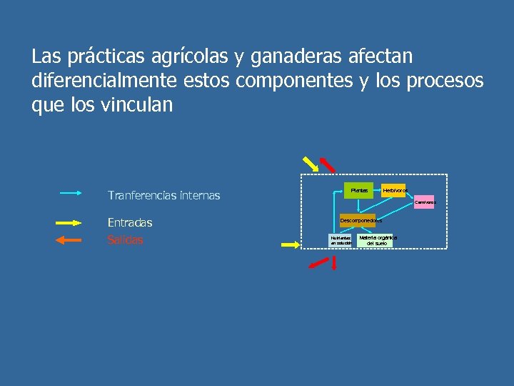 Las prácticas agrícolas y ganaderas afectan diferencialmente estos componentes y los procesos que los