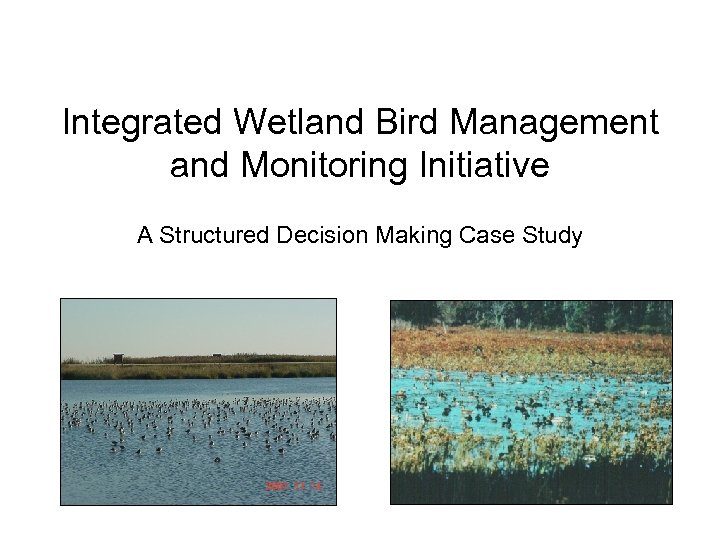 Integrated Wetland Bird Management and Monitoring Initiative A Structured Decision Making Case Study 