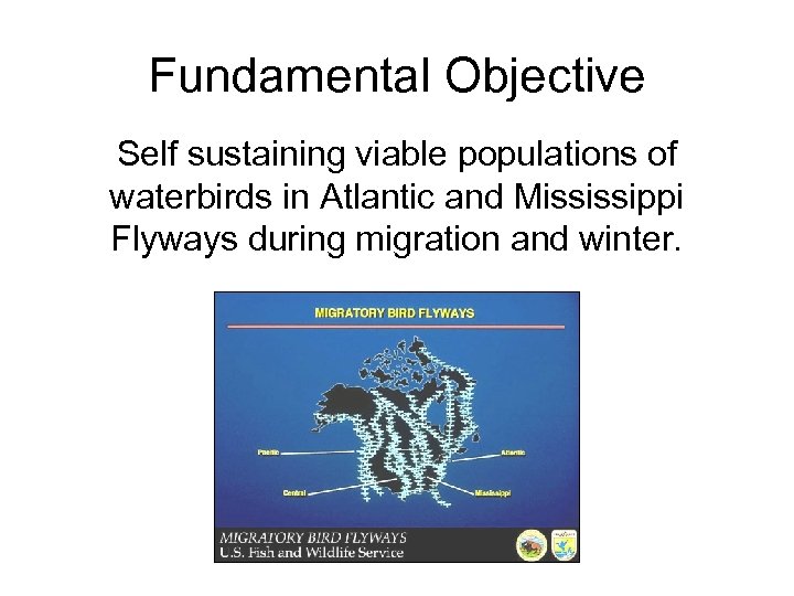 Fundamental Objective Self sustaining viable populations of waterbirds in Atlantic and Mississippi Flyways during