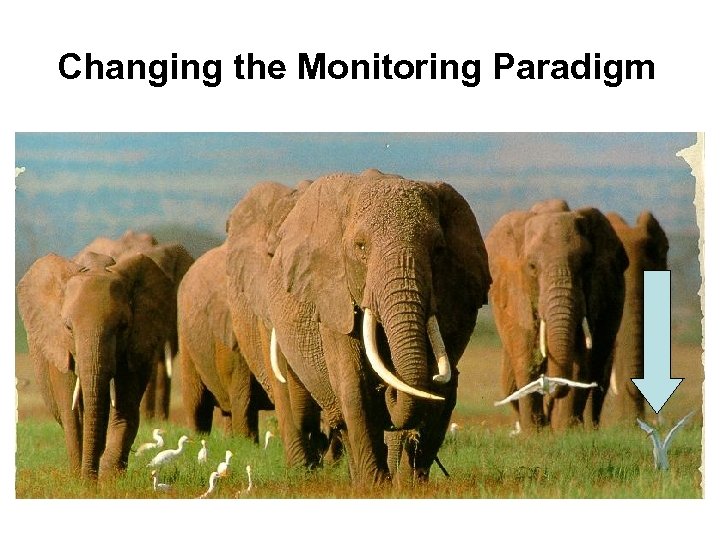 Changing the Monitoring Paradigm 