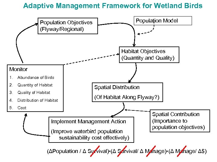 Adaptive Management Framework for Wetland Birds Population Model Population Objectives (Flyway/Regional) Habitat Objectives (Quantity